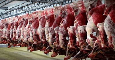 گوشت قرمز تولید کشتارگاه
