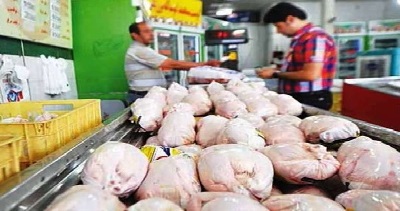 قیمت مرغ نرخ مصوب  اتحادیه فروشندگان پرنده و ماهی