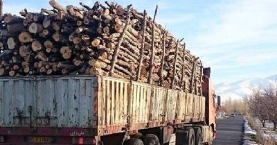 وزارت جهاد کشاورزی زراعت چوب جهش تولید اشتغال پایدار روستایی